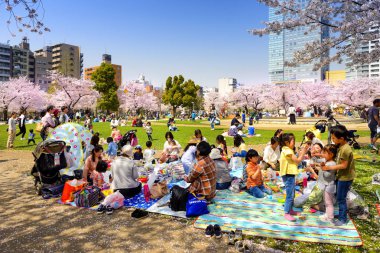 Tokyo Japonya - 29 Mart 2018: Kinshi Park, kiraz çiçeği tanımlanamayan turist ziyaret edin. Bu olay yalnızca bir kez yıl. Japon ve yabancılar için cazip, faaliyet aileyiz