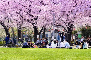 Tokyo Japonya - 29 Mart 2018: Kinshi Park, kiraz çiçeği tanımlanamayan turist ziyaret edin. Bu olay yalnızca bir kez yıl. Japon ve yabancılar için cazip, faaliyet aileyiz