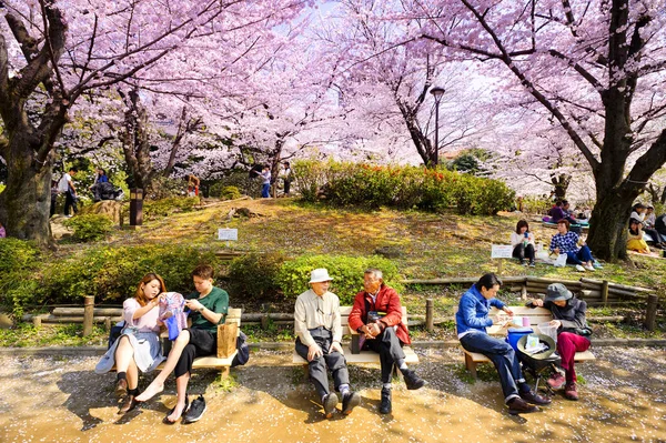 Tokyo Giappone Marzo 2018 Sumida Park Turisti Non Identificati Visitano — Foto Stock