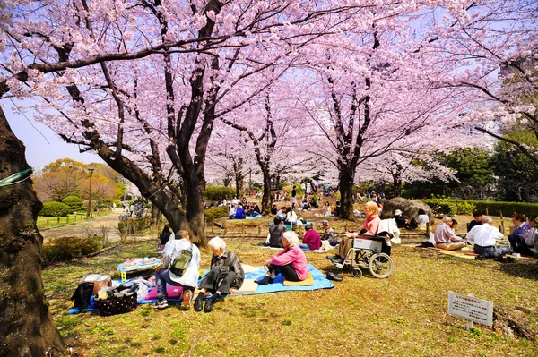 Tokio Japón Marzo 2018 Parque Sumida Los Turistas Identificados Visitan — Foto de Stock