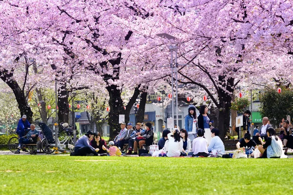 Tokio Japón Marzo 2018 Kinshi Park Los Turistas Identificados Visitan — Foto de Stock
