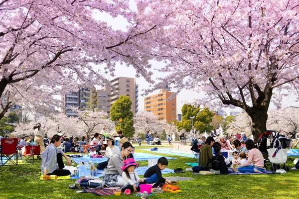 Tokio Japón Marzo 2018 Kinshi Park Los Turistas Identificados Visitan — Foto de Stock