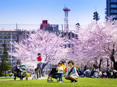 Tokyo Japonya - 29 Mart 2018: Kinshi Park, Sakura ağacı altında piknik için çocuklarını alarak tanımlanamayan Japon anne. Bu etkinlik sırasında erken kiraz çiçekleri çok popüler oldu.