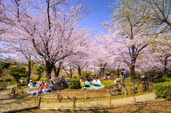 Tokyo Giappone Marzo 2018 Sumida Park Turisti Non Identificati Visitano — Foto Stock