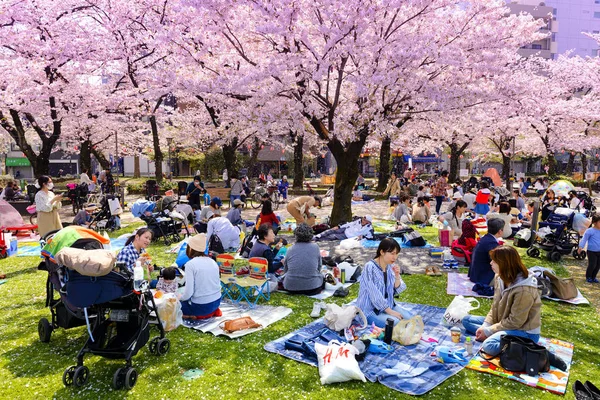 Tokyo Japonya - 29 Mart 2018: Kinshi Park, kiraz çiçeği tanımlanamayan turist ziyaret edin. Bu olay yalnızca bir kez yıl. Japon ve yabancılar için cazip, faaliyet aileyiz