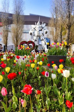 Tokyo Japonya - Mar.31,2018: Odaiba mahalle, popüler turist yürümek ve büyük robot resimlerini çekmek. Bu robot bir film geçmişte Gundam adlı. Tokyo'nun görülmesi gereken biri gidilecek yerler.