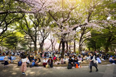 Tokyo Japonya - 29 Mart 2018: Ueno Park, kiraz çiçeği tanımlanamayan turist ziyaret edin. Bu olay yalnızca bir kez yıl. Japon ve yabancılar, en popüler yerler için çekici.