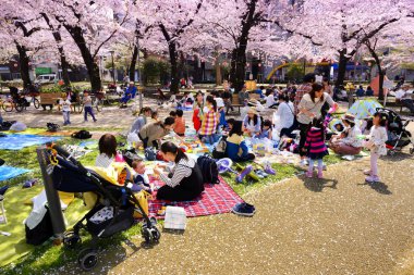 Tokyo Japonya - 29 Mart 2018: Kinshi Park, kiraz çiçeği tanımlanamayan turist ziyaret edin. Bu olay yalnızca bir kez yıl. Japon ve yabancılar için cazip, faaliyet aileyiz