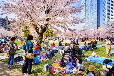 Tokyo Japonya - 29 Mart 2018: Kinshi Park, kiraz çiçeği tanımlanamayan turist ziyaret edin. Bu olay yalnızca bir kez yıl. Japon ve yabancılar için cazip, faaliyet aileyiz
