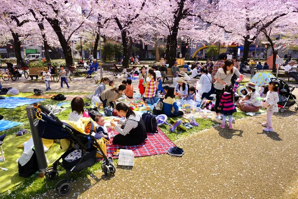 Tokio Japón Marzo 2018 Kinshi Park Los Turistas Identificados Visitan — Foto de Stock