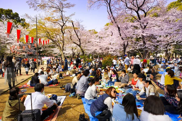 Tokio Japón Marzo 2018 Parque Ueno Los Turistas Identificados Visitan — Foto de Stock