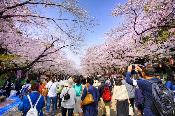 Tokyo Japonya - 29 Mart 2018: Ueno Park, kiraz çiçeği tanımlanamayan turist ziyaret edin. Bu olay yalnızca bir kez yıl. Japon ve yabancılar, en popüler yerler için çekici.