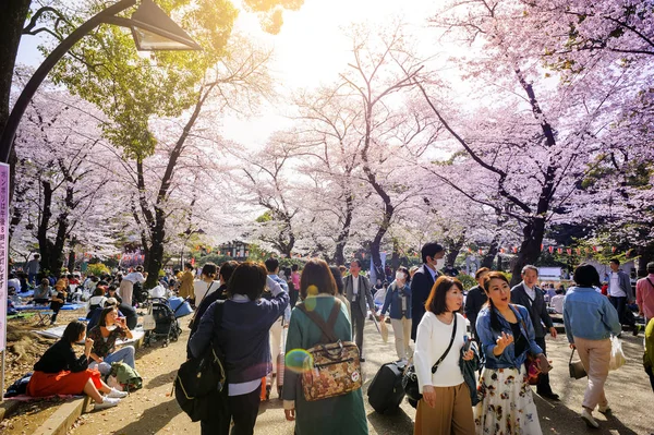 Tokio Japón Marzo 2018 Parque Ueno Los Turistas Identificados Visitan — Foto de Stock