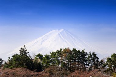 Mt. Fuji Dağı'nda Kawaguchiko Japonya.