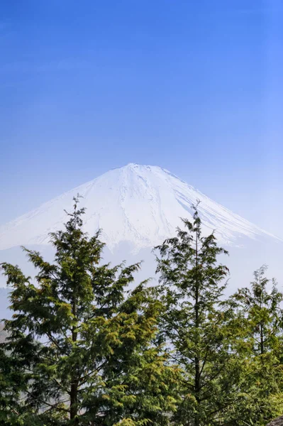 Fuji Berg Kawaguchiko Japan — Stockfoto