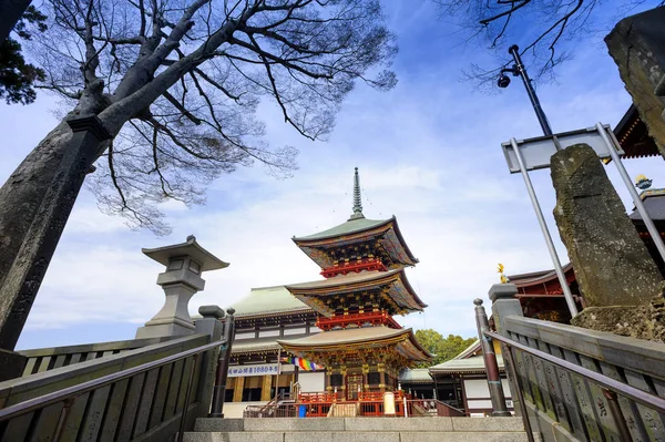 Chiba Giappone Marzo 2018 Tempio Narita San Shinshoji Turisti Popolari — Foto Stock