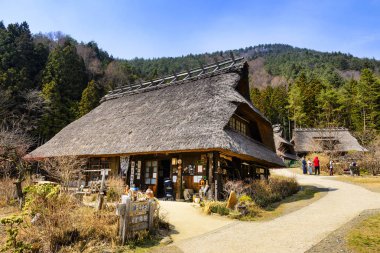 Iyashinosato eski Japon köyü: Yamanashi Japonya.