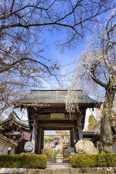 Templo Porta Estilo Japão Yamanashi Japão — Fotografia de Stock