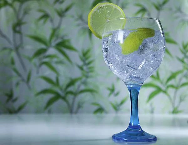 Gin Tonic Cristallo Con Fetta Limone Fondo Erbaceo — Foto Stock