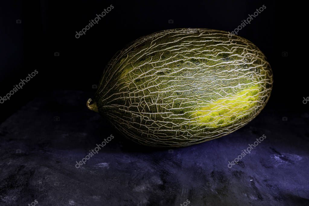 piel típica de sapo de melón español 2024