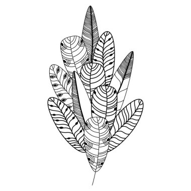 Elle çizilmiş tüyler küme. Sevimli vektör çizim.