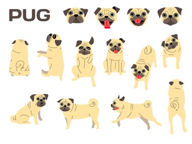Pug illstration, köpek pozlar, köpek doğurmak