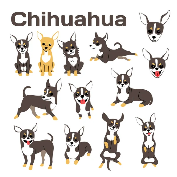 Ilustração Chihuahua Poses Cão Raça Cão —  Vetores de Stock