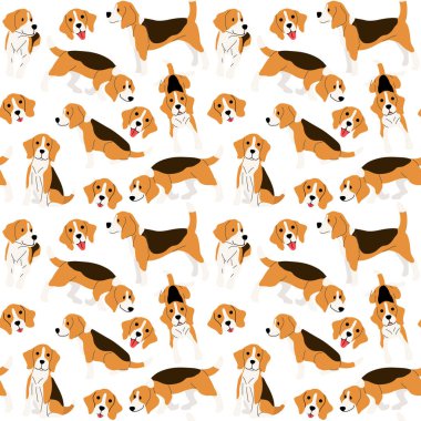 beagle eylem, sorunsuz desen