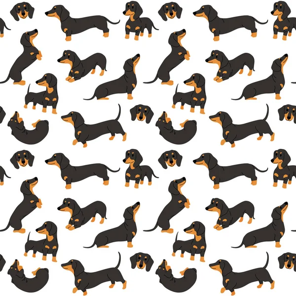 Dachshund in action,seamless pattern — Stock Vector