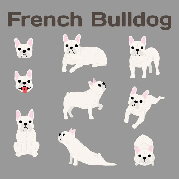 Fransız bulldog eylem, mutlu köpek — Stok Vektör