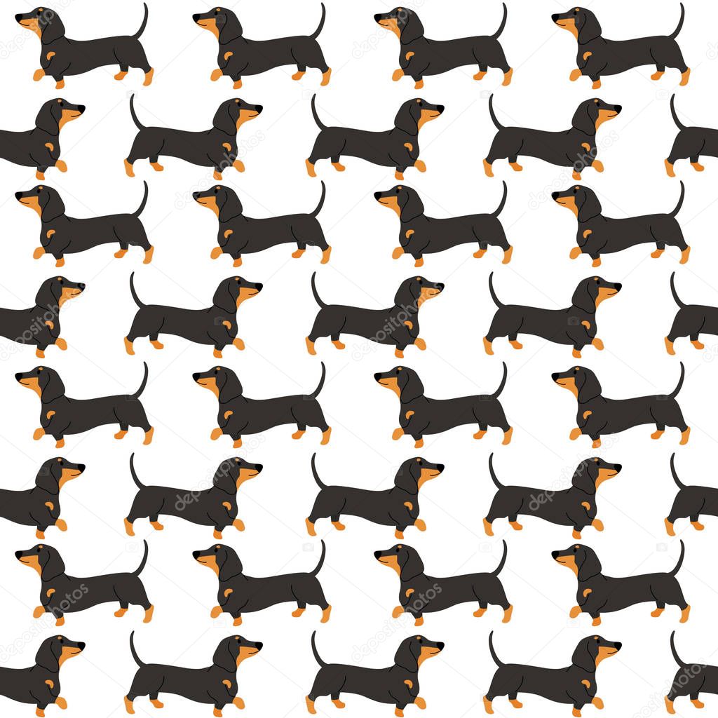 dachshund in action seamless pattern