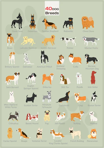 40 perros en acción ilustración conjunto — Archivo Imágenes Vectoriales