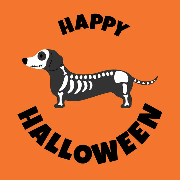 İskelet kustume Halloween tebrik kartı Dachshund