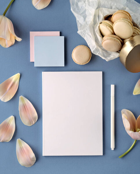 Creative minimalist still life.