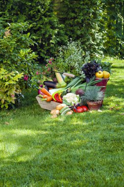 Çiçekler güneş ışığı yeşil çayır üzerinde çeşitli hasat sebze renkli kompozisyon.
