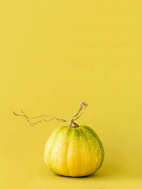 Küçük parlak sarı kabak.
