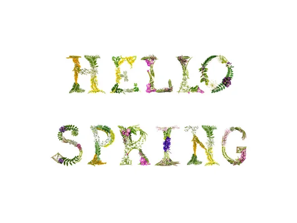 Olá Primavera inscrição feita de flores . — Fotografia de Stock
