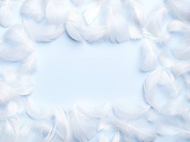 White feather çerçeve.