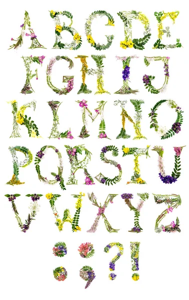 Lettere floreali di alfabeto latino . — Foto Stock