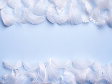 Soyut kuş tüyü arka plan.