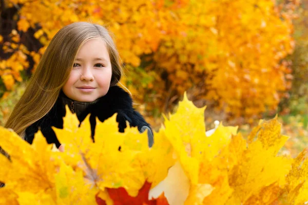 Porträtt Vacker Ung Flicka Med Hösten Lämnar — Stockfoto