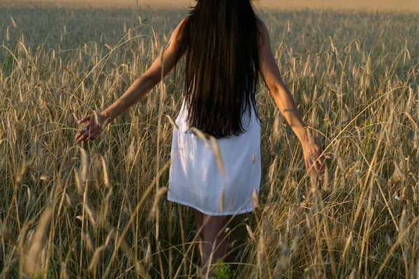 Młoda Kobieta Chodzenie Polu Żyta Zachodzie Słońca — Zdjęcie stockowe