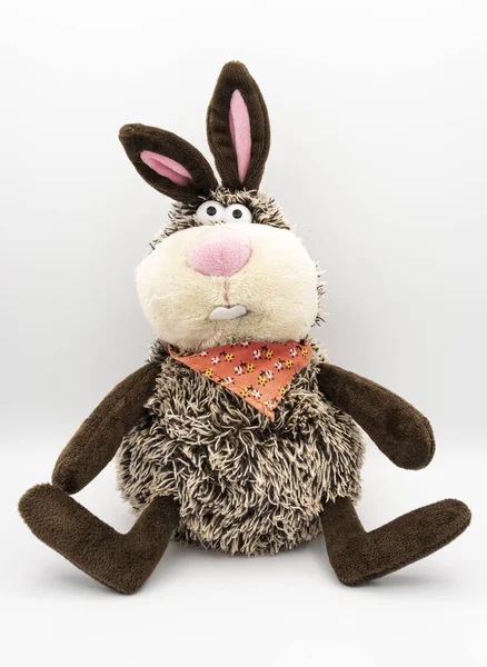 yumuşak oyuncaklar, ayılar, tavşanlar, kulaklar, burun, bacaklar, oyun, hediyelik eşya, hediye,