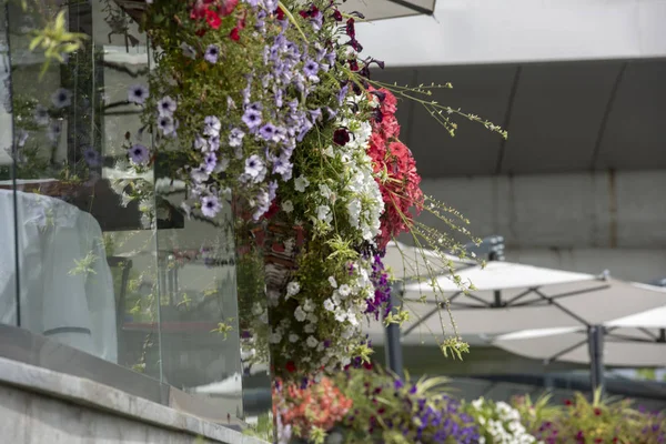 mimari, şehirler, çiçekler, doğa, yeşil, parlak, yaz, doğa, manzara, iç, tasarım