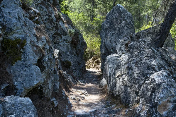 Park, çiçekler, Hollanda, laleler, güzel, çiçekli, kırmızı, sarı