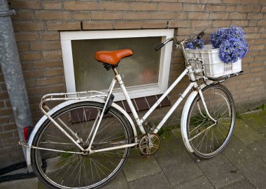 Park, çiçekler, Hollanda, laleler, güzel, çiçekli, kırmızı, sarı