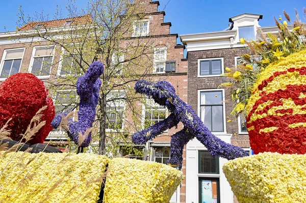 Park, çiçekler, Hollanda, laleler, güzel, çiçekli, kırmızı, sarı