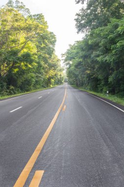 yol tepeye güneşli gün batımında dağ üstünde için ormandaki.