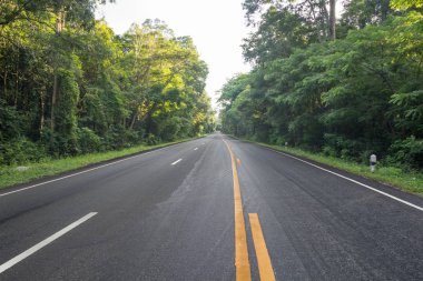 yol tepeye güneşli gün batımında dağ üstünde için ormandaki.