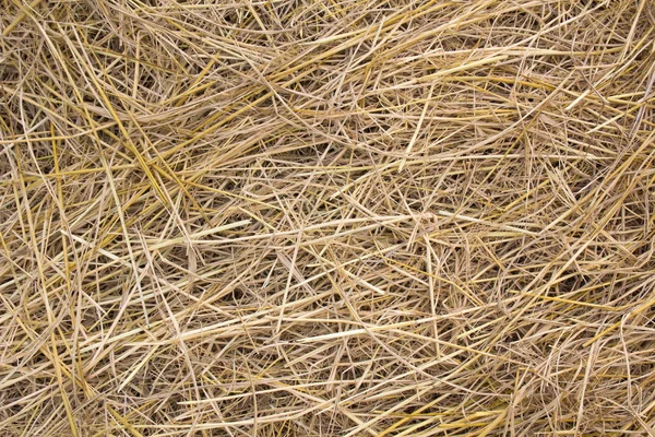 Pile Dry Rice Chaff Pattern Texture Background — Stock Photo, Image